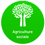 pole Agriculture-sociale-accueil-champêtre-en-wallonie